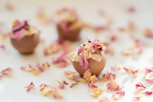 Otto Kasino Aplicație Android/iOS